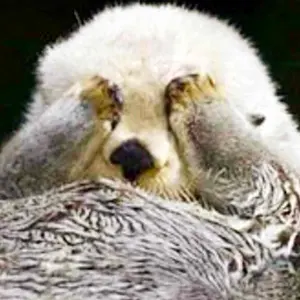 美品】Lumy ルミー はしもと ビーズ バッグ クラッチ 皇室御用達