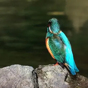 テクノ. ハウス.クラブ系12 アナログ vinyl 10枚セット NO 1 - メルカリ