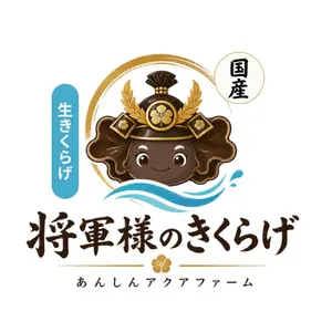 国産きくらげ粉末 100g 無農薬 ミル精製 食べるサプリ 将軍様の 