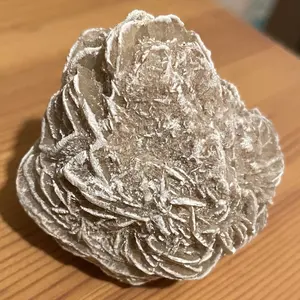 sand rose