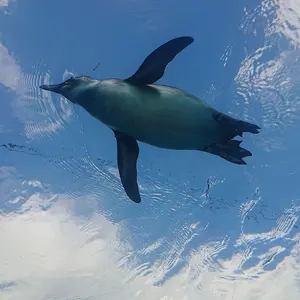 EVNNE イジョンヒョン EVNNIZ クリスマス ポラロイド トレカ - メルカリ