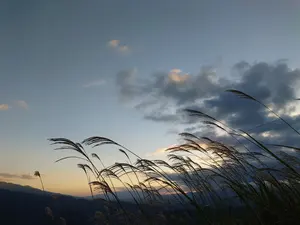 ファイブクロス 十香と一緒 四糸乃 SP ファイブクロス 十香と一緒 四糸乃 SP ファイブクロス 十香と一緒