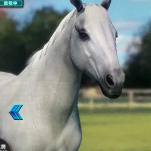 k.Aガレージ「ショッピング」