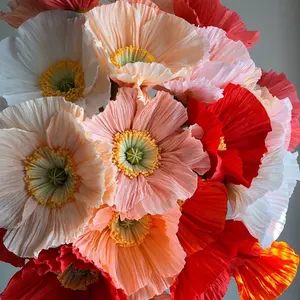 ニコ☺︎様専用】新品未使用♡ALEXIA STAN/黒ギンガムチェックビキニ