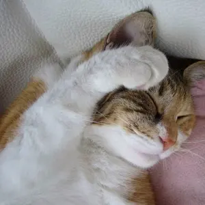 佐々木