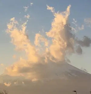 セブン-イレブン・ジャパン 社史 終わりなきイノベーション - メルカリ