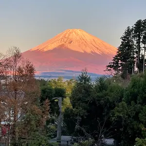 船竿 Daiwa岬 30-270 ロッドケース付き - メルカリ
