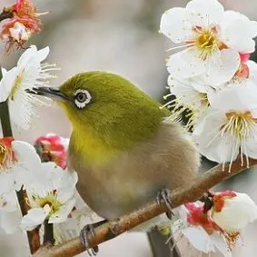 美品 荒木幸史「虹」肉筆画 直筆サイン・詩入り 2015年作 コスモス画家