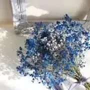 る ん【 プロフ必読！！！】