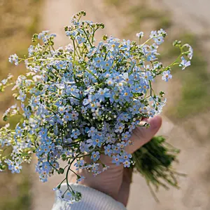 ARSOAアルソアローションIIビッグボトル230ミリx5 - メルカリ