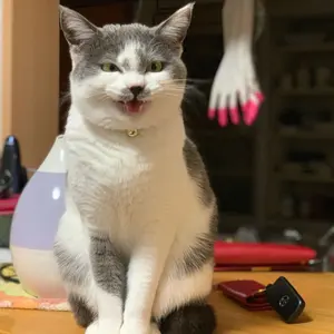 ソラ