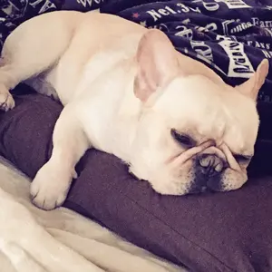 あこ プロフ必読