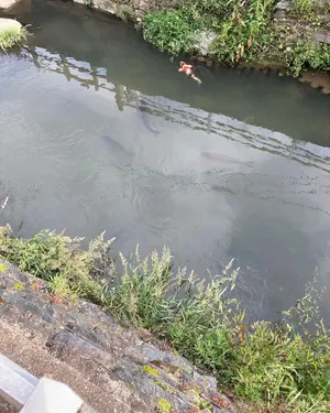 イトーキ インフューズ デスク (W140 H72 D65) - メルカリ