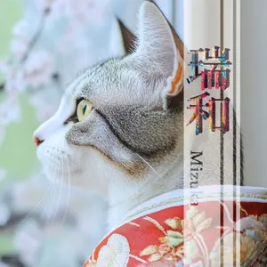 大人兵児帯 幾何学オーロラ プレゼントにも人気です♪ - メルカリ