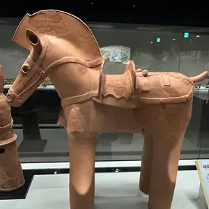 ポケモンスケールワールド ホウエン地方 ミツル＆エルレイド