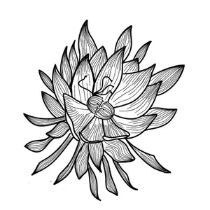 gkbgn(フォロー割5%off)