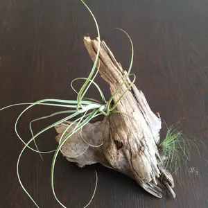 天然石・水鉢・六角水鉢・蹲・手水鉢・茶庭】庭石オブジェ置物箱庭