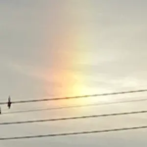 Hiten先生直筆サイン入り義妹生活Hitenアートワークス、ゲーマーズ特典