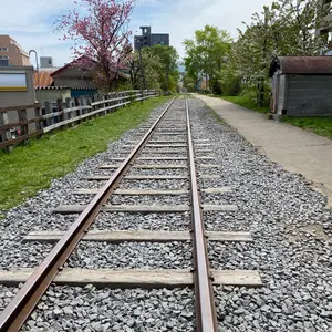 オヴェルノワ（エマニュエル•ウイヨン）/プールサール 2012 - メルカリ