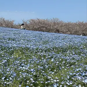 rrr★プロフィールをご覧下さい！