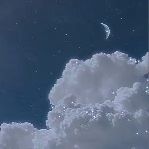 やみ@プロフ必読 meownail