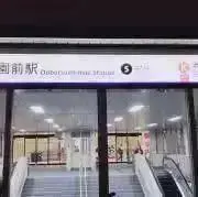 翌日発送無言取引OK コジャケ