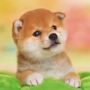 Hey!Say!JUMP Ssayエッセイ3形態B一部特典コード無(山田八乙女薮