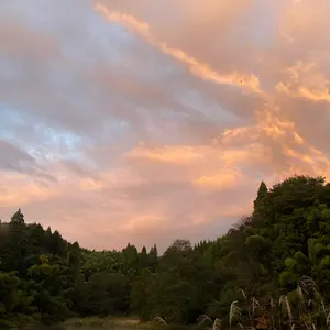 螺鈿細工 飾り盆 月明かりとブラッキー ポケモンセンターカナザワ