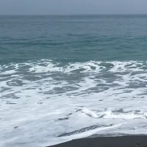 競馬ぬいぐるみダイワスカーレットメジロドーベル ゴールドシップ・マヤノトップガン Amazon.co.jp: サラブレッド コレクション ぬいぐるみ 3 全4種