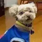 アーキル@プロフ必読