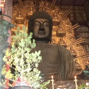 Mリーグ 一気通貫ツアー ポストカード 本田朋広選手 - メルカリ