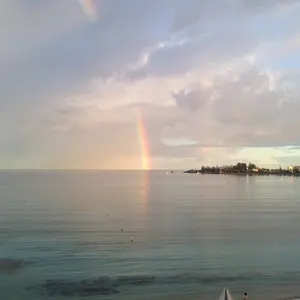 平成フラミンゴ NICO 直筆サイン入りチェキ - メルカリ