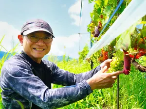 【農薬不使用・天日干し】ササシグレ 玄米2kg｜ササニシキの親品種・あっさり系 農薬不使用・天日干し】ササシグレ 玄米2kg｜ササニシキの親品種