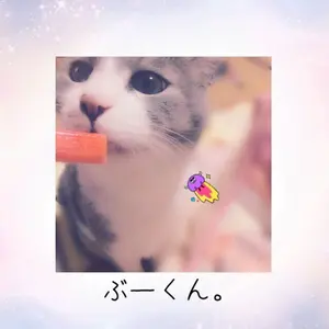 フィヨーレ BLカラー 120g アルカリカラー サロン専売品 230本 - メルカリ