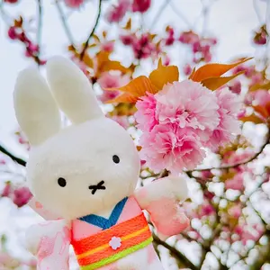 ミッフィースタイル セキグチ 限定 ミッフィー はかま 袴 桜