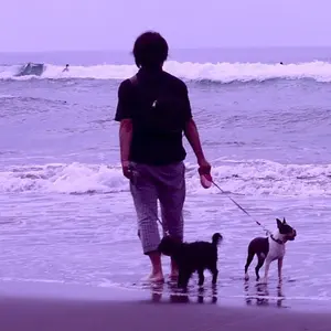 ロッシュボボア ソファ2点セット ミッソーニ生地 × グリーン座面下