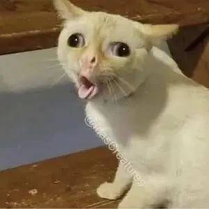 トップス lgb boxer pink setup archive 00s lgb boxer pink setup archive 00s