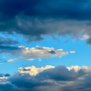 みー＊即購入＊匿名配送