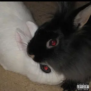 fuck my ilfe Flexwitme FWM 長袖 ポロシャツ M - メルカリ