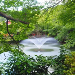 森の仲間たち〜リメイク鉢4個セット2.5号 多肉の寄せ植えにも - メルカリ