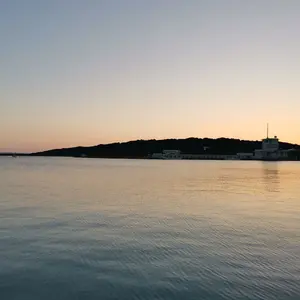 法螺貝 ほら貝 インテリア 素材 魔除け 宮古島産 ※値下げしました