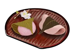 ChaosTCG IS 開花した才能 篠ノ之箒 SP サイン 日笠陽子 - メルカリ