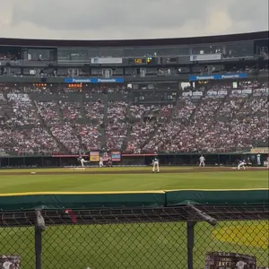 楽天 イーグルス 岡島豪郎 引退記念 缶バッジ コンプリート品 24個