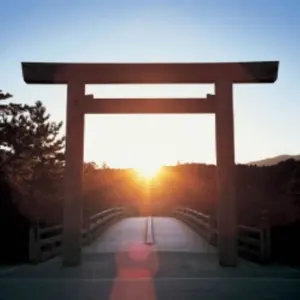 専用)ClariS コイセカイ トレーディングカード全種セット - メルカリ