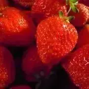 高嶺のなでしこ 城月菜央 直筆 サイン入り チェキ 高嶺のなでしこ 城月菜央 直筆 サイン入り チェキ 🩰 𝙋 𝙍 𝙀 𝙎 𝙀