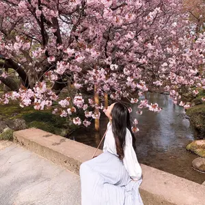 カワイ Nゲージ ホキ8300 クリーム 鉄道模型 貨車 河合商会 KP-257 Yahoo!オークション - 1円～ 質流れ 河合商会 ホキ8300 クリーム 全農