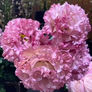 オールドパイレックス ミキシングボウル 【スプリング・ブロッサム