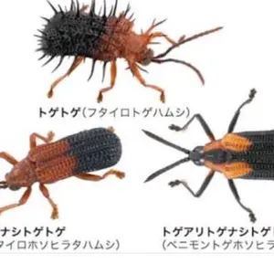 D-CLAW Po3 ディークロウ ポポポ - メルカリ