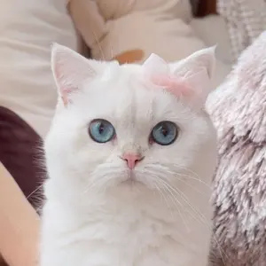 ボスポラスクリスタル トルコ製最高級クリスタル 大きなフラワーベース 高さ30㎝ ボスポラスクリスタル トルコ製最高級クリスタル 大きなフラワーベース