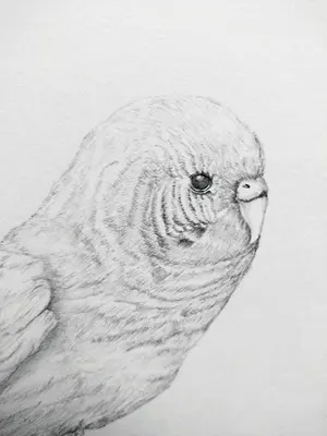 最終値下げ】IPI Qi Pro 8K Wireless - メルカリ